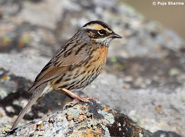 �������ҵ�ͼƬ