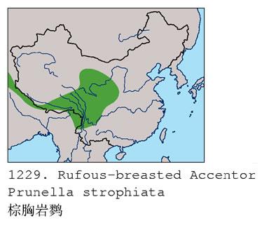 �������ң������ֲ�ͼ