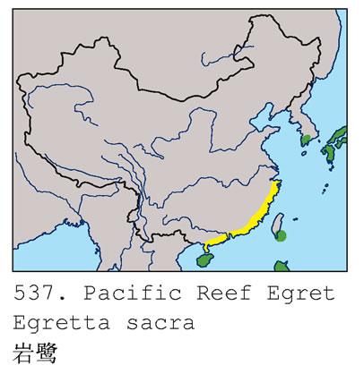 ���أ������ֲ�ͼ