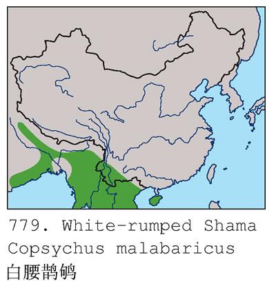 ����ȵ𶣺�����ֲ�ͼ