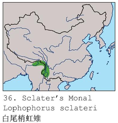 ��β�Һ����������ֲ�ͼ