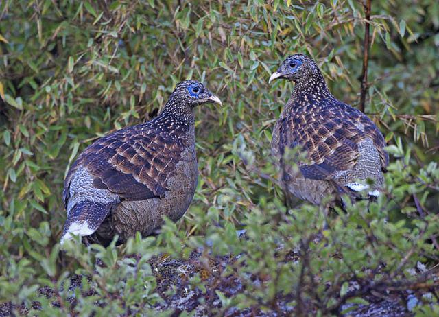 ��β�Һ���������