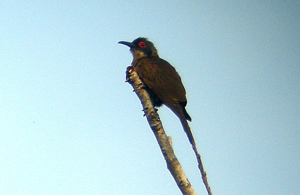 С������ͼƬ