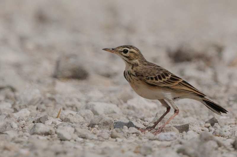 �����ҵ�ͼƬ