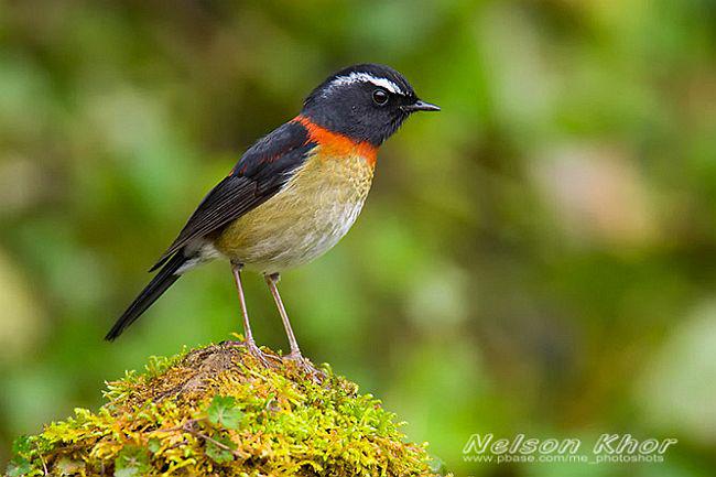 ̨������ͼƬ