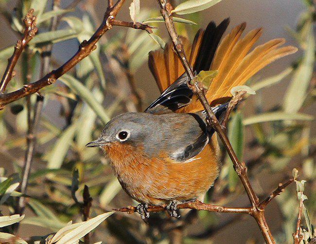 ����ɽ��β𶣺���������ຣ��