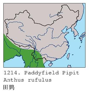 ���ң������ֲ�ͼ