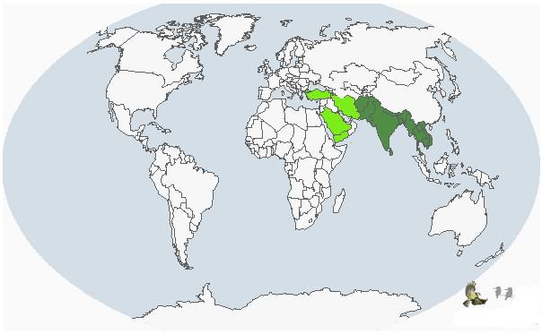 ����ɽ������