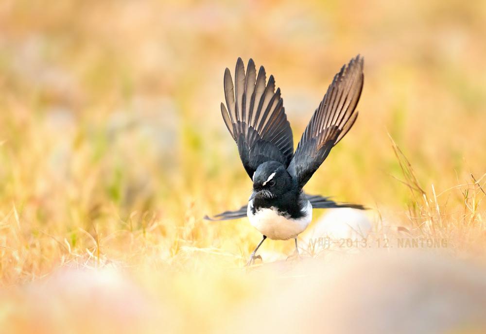 �ڰ���β�l�����ڽ��գ�