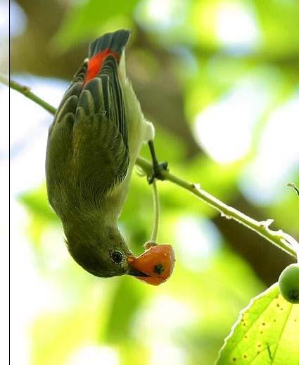 �챳�Ļ��񣺴���