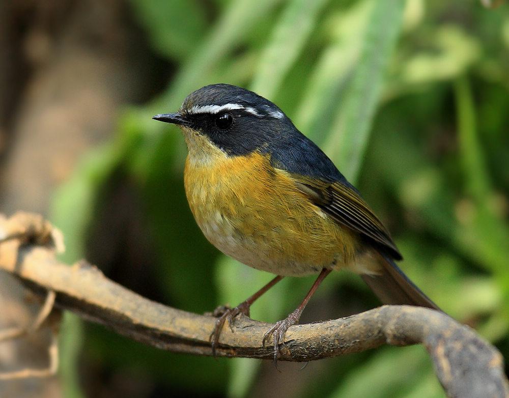 ��ü��𶣺����