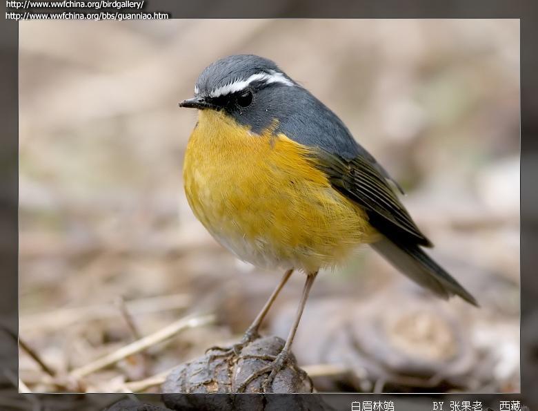 ��ü��𶣺�����������أ�