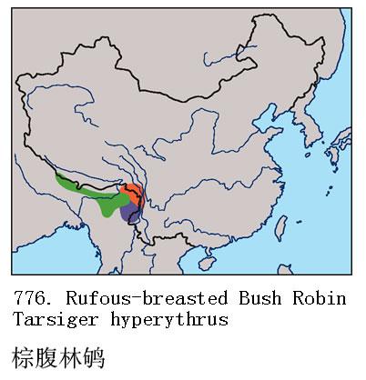 �ظ��������ֲ�ͼ