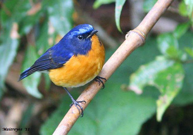 �ظ���𶣺����