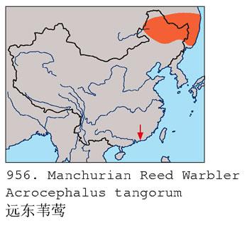 Զ��έݺ�����ֲ�ͼ