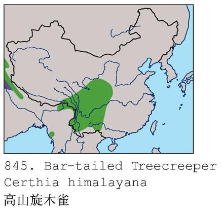 ��ɽ��ľȸ�������ֲ�ͼ