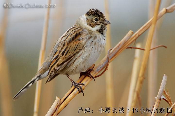 «�c��С��������С�����ڵ�