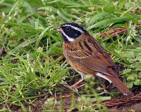 ��ü�c������