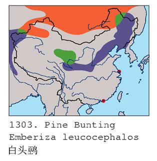 ��ͷ�c�����ֲ�ͼ