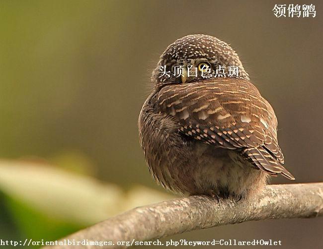 ����m��ͷ���е��