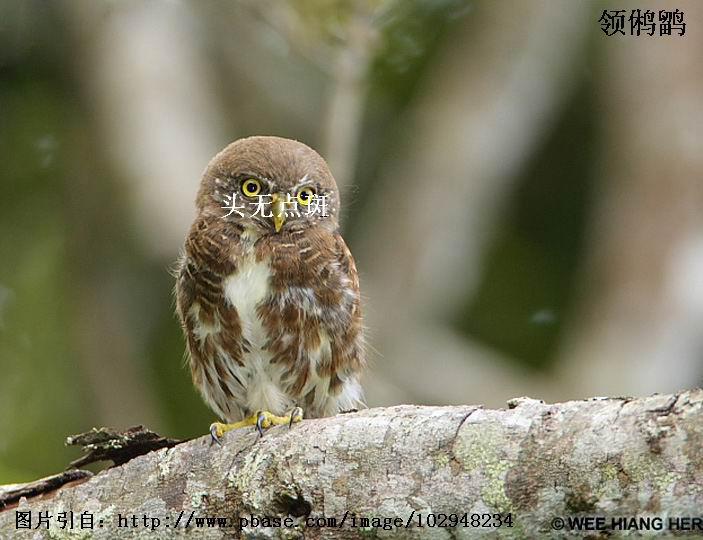 ����m������ͷ���޵��