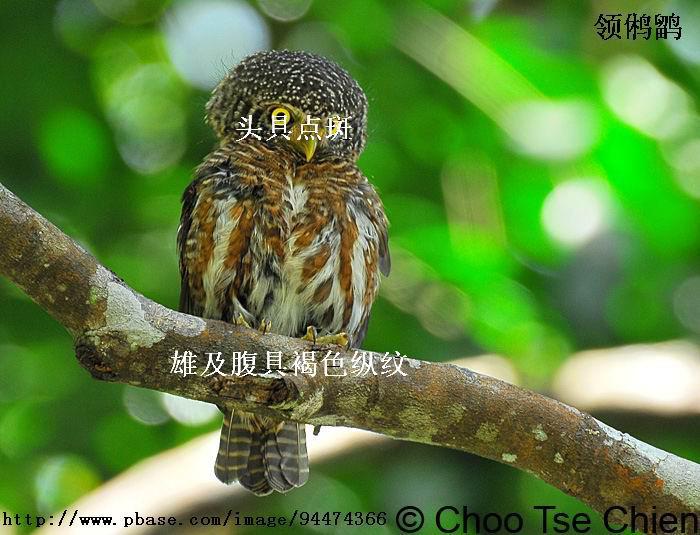 ����m���ǳ�������ߺ�ɫ����