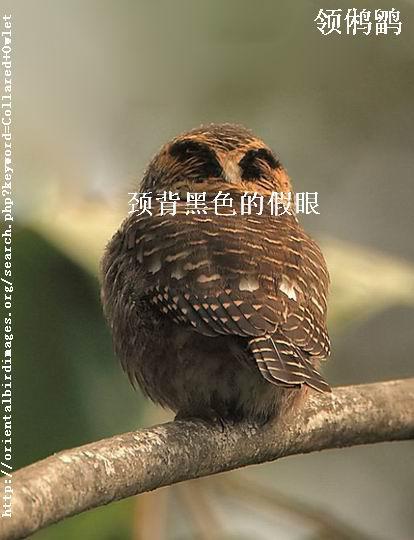 ����m���������м���