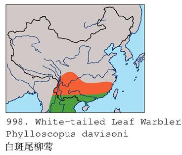 ���ϰװ�β��ݺ�����ֲ�ͼ