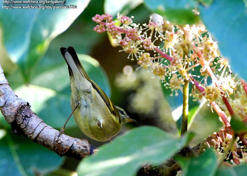 ���ϰװ�β��ݺ�������Ĵ���