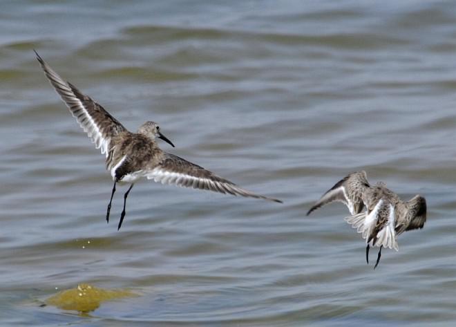 �ڸ����֣�������̬