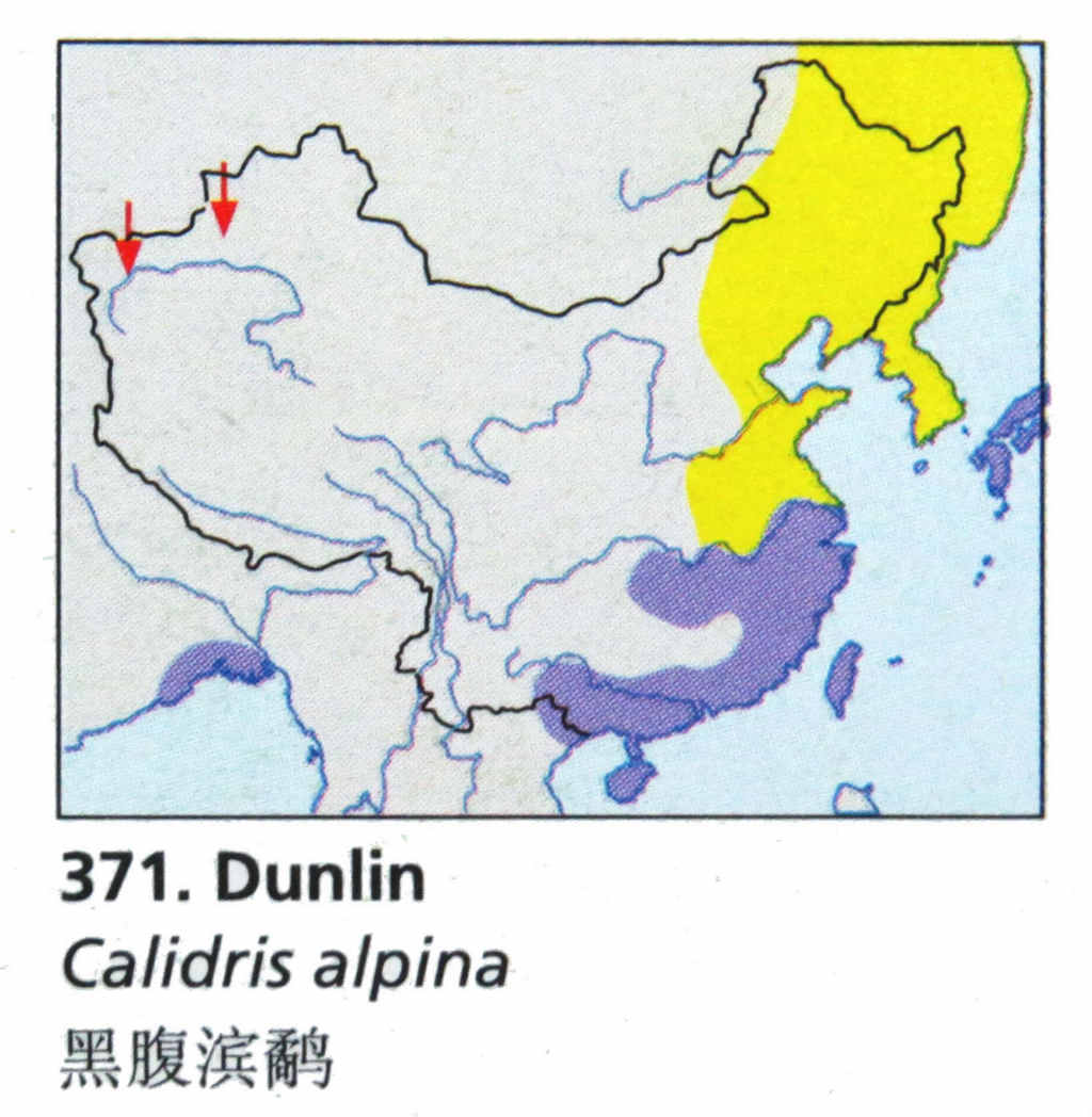 �ڸ����ֵ����ֲ�ͼ