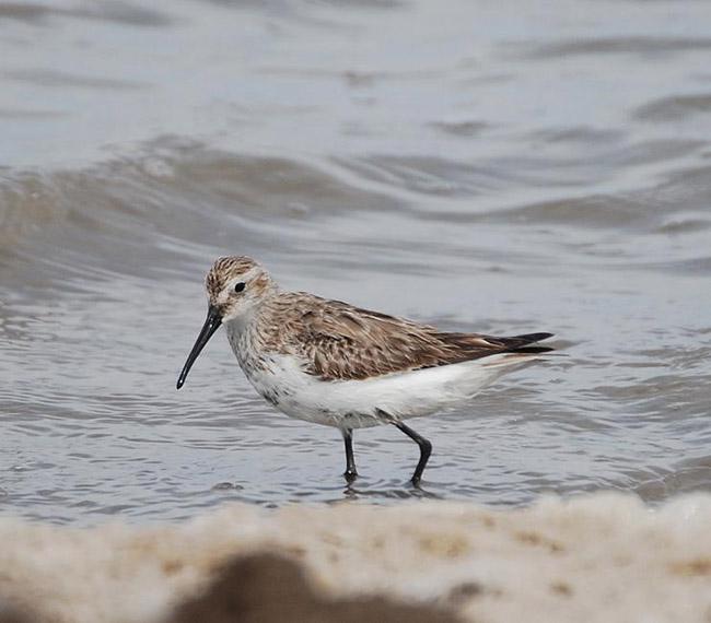 �ڸ�����