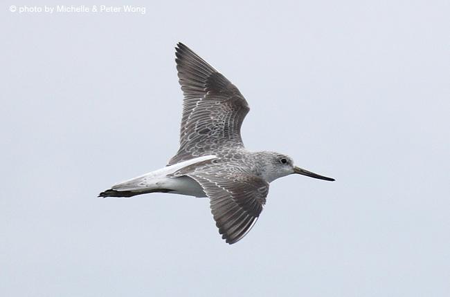 С����֣�����ͼ