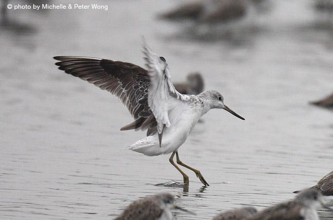 С����֣�����ͼ