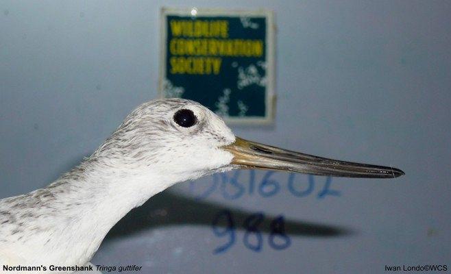 С����֣�ͷ������