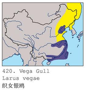 ����������Ÿ��֯Ů��Ÿ�������ֲ�ͼ