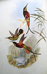 ���β������