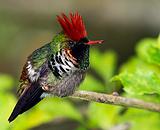 �ڷ�����