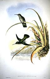 ��߷�����