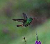 �޷�����