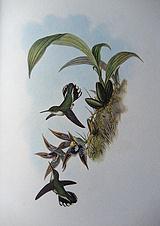 ��β������