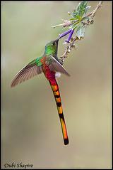 ��β���Ƿ�����