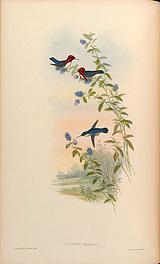 ���۷�����