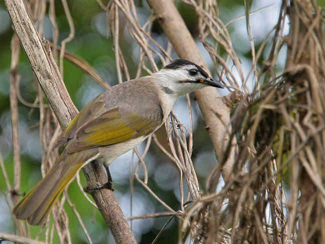 ̨���ǵ�ͼƬ