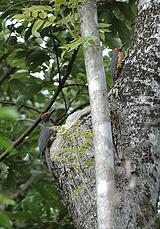 �����ľ����