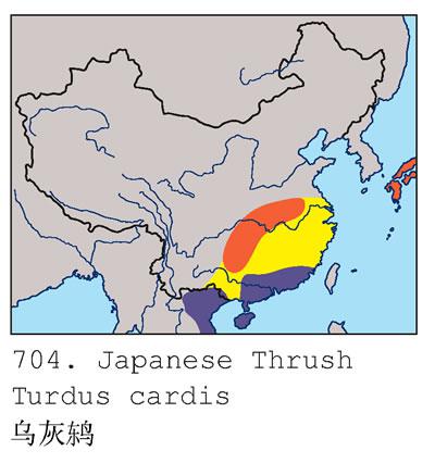 �ڻ�𴣺�����ֲ�ͼ