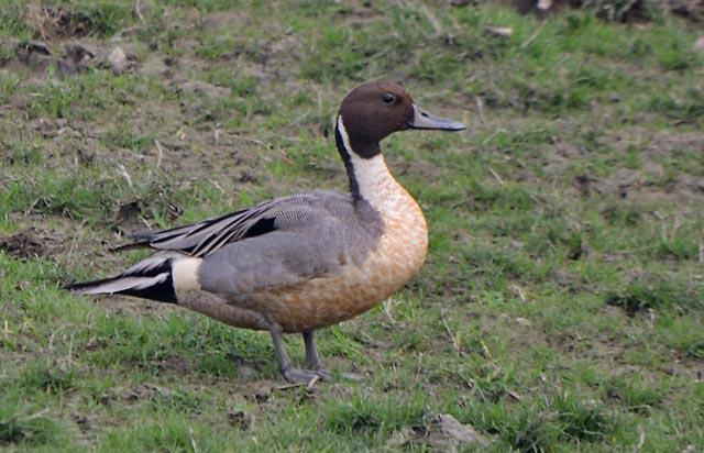 ��βѼ��ͼƬ