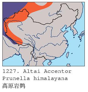 ��ԭ���ҵ����ֲ�ͼ