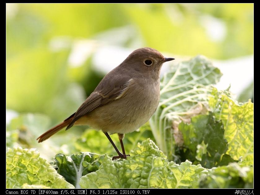 �ں���β𶣺������Ӱ��ũɽ��