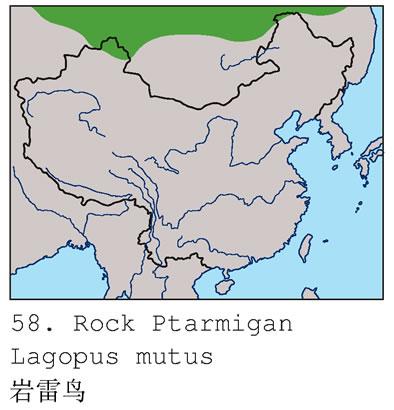 ����������ֲ�ͼ